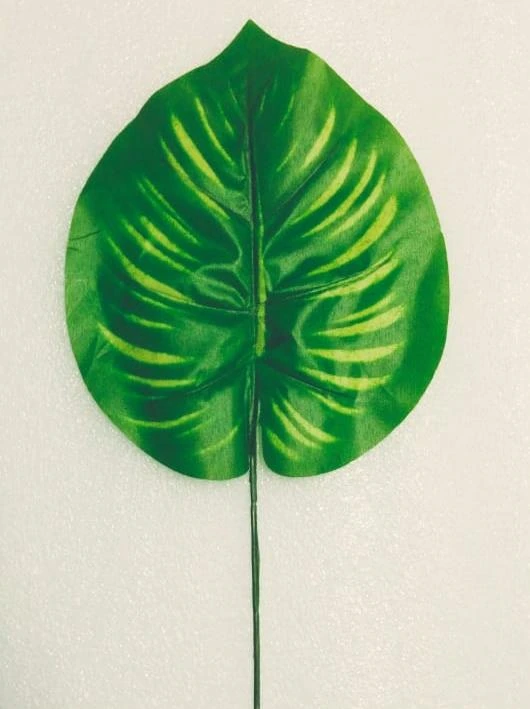 Peapal Leaves